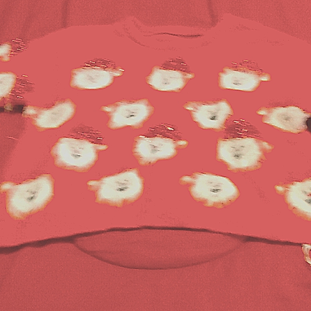 Brand new Santa sweater